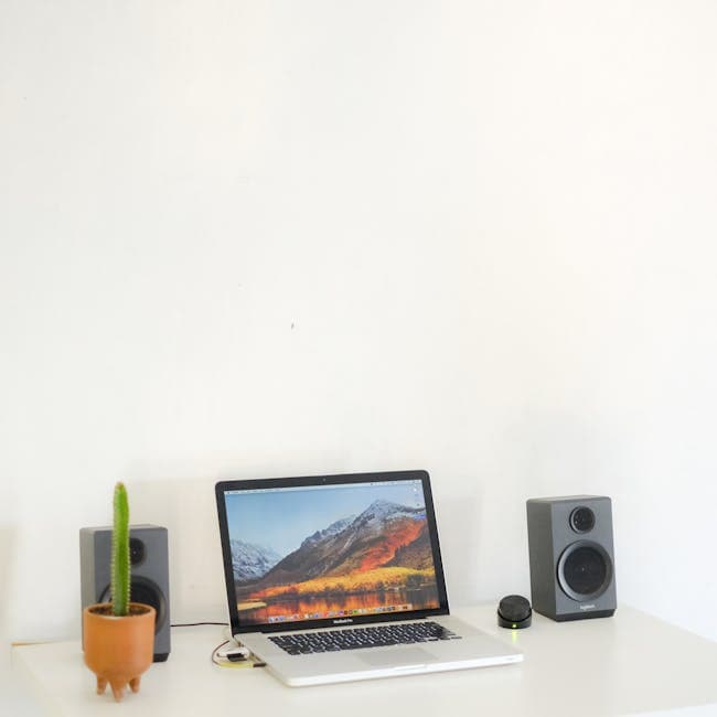 Sony SRS-XB100 Black